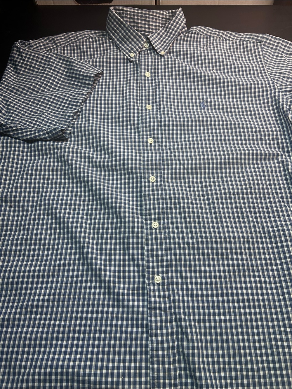 Ralph Lauren Blue and White Check Button-Down Shirt